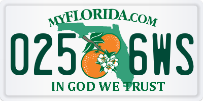FL license plate 0256WS