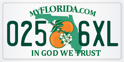 FL license plate 0256XL