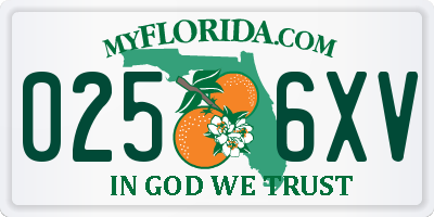 FL license plate 0256XV
