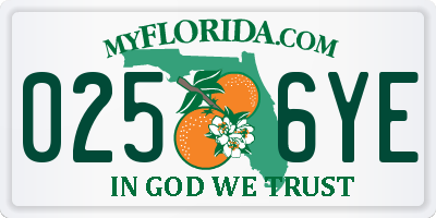 FL license plate 0256YE