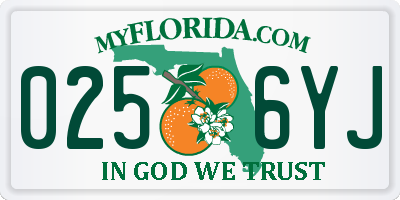 FL license plate 0256YJ