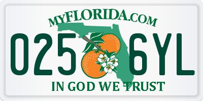 FL license plate 0256YL