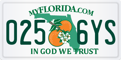 FL license plate 0256YS