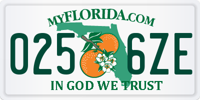 FL license plate 0256ZE