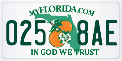 FL license plate 0258AE