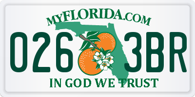 FL license plate 0263BR