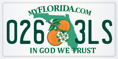 FL license plate 0263LS