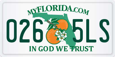FL license plate 0265LS