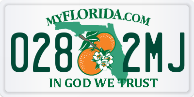 FL license plate 0282MJ