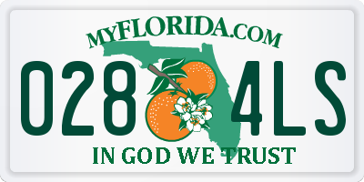 FL license plate 0284LS