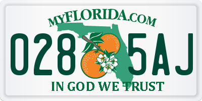 FL license plate 0285AJ