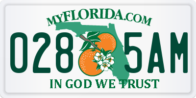 FL license plate 0285AM