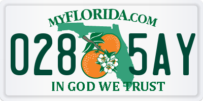 FL license plate 0285AY