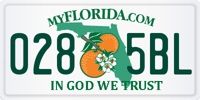 FL license plate 0285BL