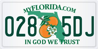 FL license plate 0285DJ