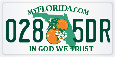 FL license plate 0285DR