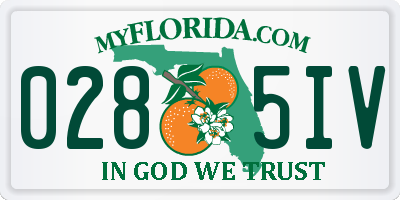 FL license plate 0285IV