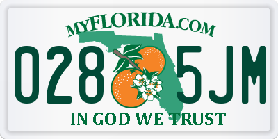 FL license plate 0285JM