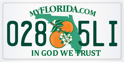 FL license plate 0285LI