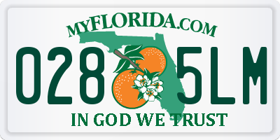 FL license plate 0285LM