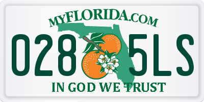 FL license plate 0285LS