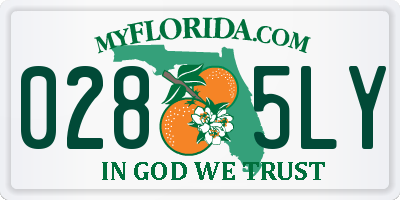 FL license plate 0285LY