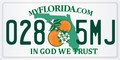 FL license plate 0285MJ