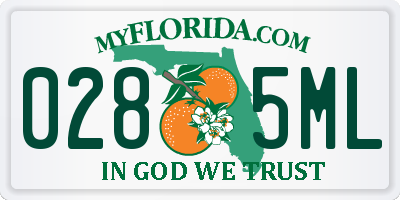 FL license plate 0285ML