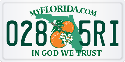 FL license plate 0285RI