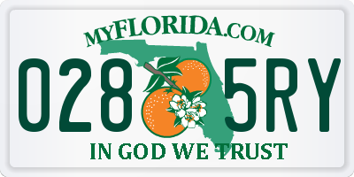 FL license plate 0285RY