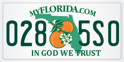 FL license plate 0285SO