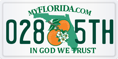 FL license plate 0285TH