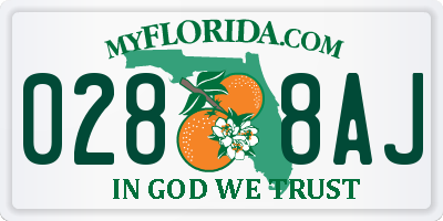 FL license plate 0288AJ