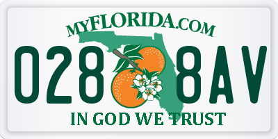 FL license plate 0288AV
