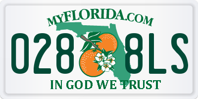 FL license plate 0288LS