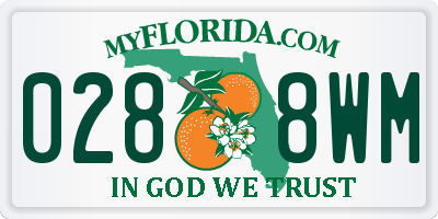 FL license plate 0288WM