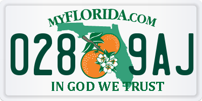 FL license plate 0289AJ