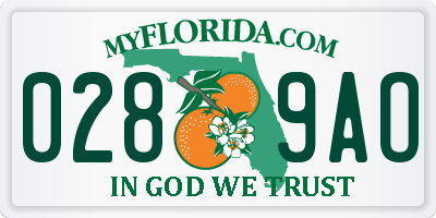FL license plate 0289AO