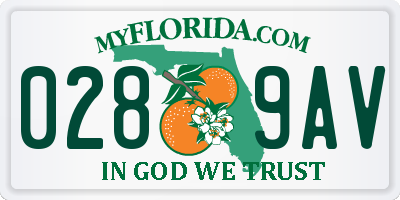 FL license plate 0289AV