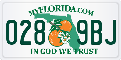 FL license plate 0289BJ
