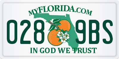 FL license plate 0289BS