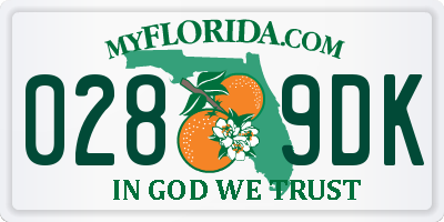 FL license plate 0289DK