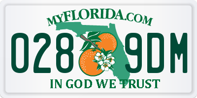 FL license plate 0289DM