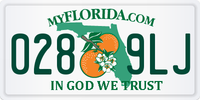 FL license plate 0289LJ