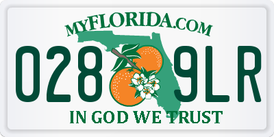 FL license plate 0289LR