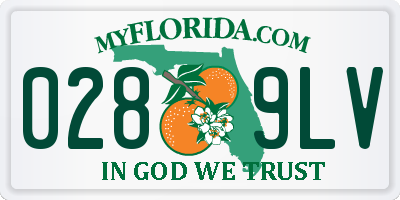 FL license plate 0289LV