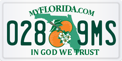 FL license plate 0289MS
