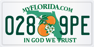 FL license plate 0289PE