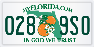 FL license plate 0289SO