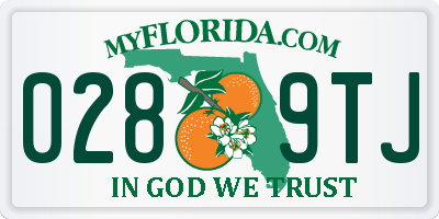 FL license plate 0289TJ